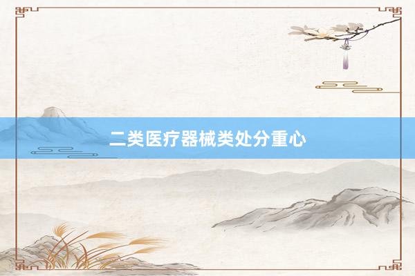 二类医疗器械类处分重心