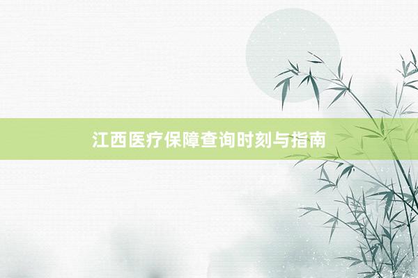 江西医疗保障查询时刻与指南