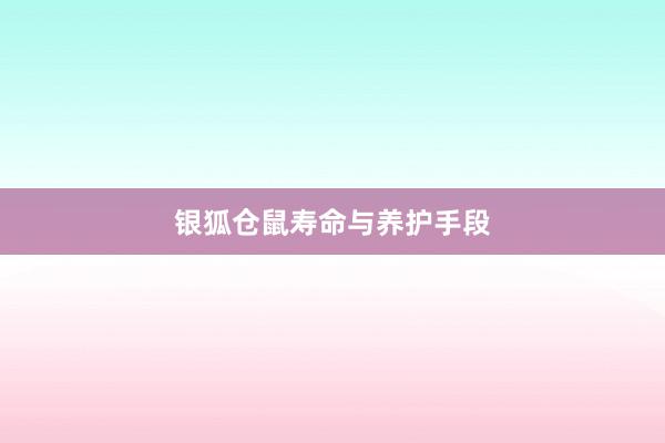 银狐仓鼠寿命与养护手段